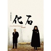 化石
