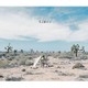 Aimer／daydream