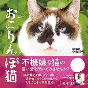 おこりんぼ猫 [単行本]
