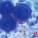 Around 40'S SURE THINGS ロマンティック花ソング2