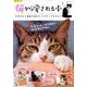 猫から愛される本: サクラムック [ムックその他]