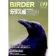 BIRDER (バーダー) 2016年 09月号 [雑誌]