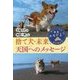 捨て犬・未来、天国へのメッセージ(ノンフィクション・生きるチカラ〈23〉) [全集叢書]