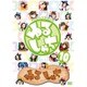 ゆるしゃち10 [DVD]