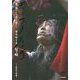 ギリヤーク尼ヶ崎―「鬼の踊り」から「祈りの踊り」へ [単行本]