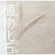 植物化石―5億年の記憶(LIXIL BOOKLET) [全集叢書]