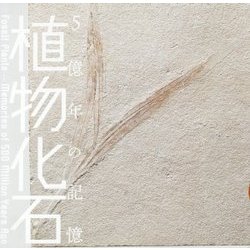 植物化石―5億年の記憶(LIXIL BOOKLET) [全集叢書]