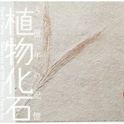 植物化石―5億年の記憶(LIXIL BOOKLET) [全集叢書]