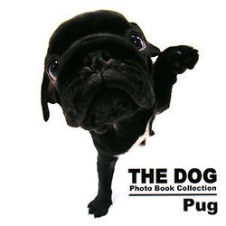Pug(THE DOG Photo Book Collection) [単行本]