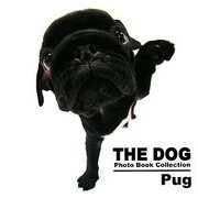 Pug(THE DOG Photo Book Collection) [単行本]