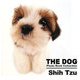 Shih Tzu(THE DOG Photo Book Collection) [単行本]