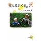 ほたるぶくろの光 [単行本]