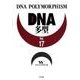 DNA多型 Vol.17 [全集叢書]