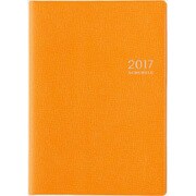 342 [ティーズマンスリー ロジェ2 オレンジ 見開き1ヵ月ブロックタイプ(月曜始まり) Ｂ6判 2017年1月始まり]