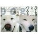 ひじきとつるり―シェルターから来た秋田犬 [単行本]
