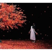 茜さす/everlasting snow