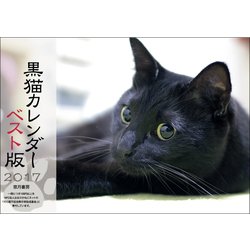 黒猫カレンダー2017 ベスト版 [カレンダー]