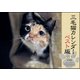 三毛猫カレンダー2017 ベスト版 [カレンダー]