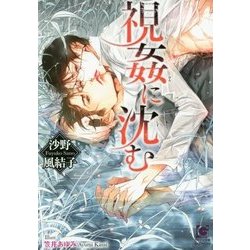 視姦に沈む [単行本]