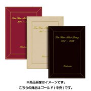202 10年連用セレクトダイアリー(ゴールド) [単行本]