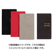 222 3年連用手帳(シャンパンゴールド) [単行本]