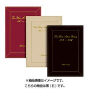 224 10年連用セレクトダイアリー(黒) [単行本]