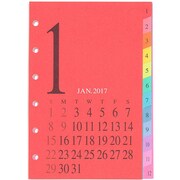 P-056 [2017年1月始まり 月間&週間+1週間メモインデックス付 ミニ6サイズ]