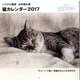 猫カレンダー 2017 パステル画家山中翔之郎 [カレンダー]