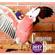 コンパニオン・バードカレンダー 2017 [カレンダー]