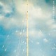 きのこ帝国／愛のゆくえ