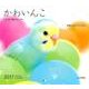 かわいんこ インコと小鳥のカレンダー 2017 [単行本]