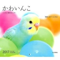 ヨドバシ Com かわいんこ インコと小鳥のカレンダー 17 単行本 通販 全品無料配達