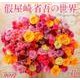假屋崎省吾の世界花カレンダー 2017 [単行本]