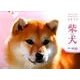 柴犬カレンダー 2017 [単行本]