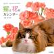 猫と花のカレンダー 2017 [単行本]
