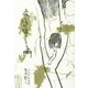 赤ん坊が指さしてる門 [単行本]