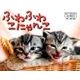 ふわふわこにゃんこカレンダー 2017 [カレンダー]