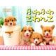 ふわふわこわんこカレンダー 2017 [カレンダー]