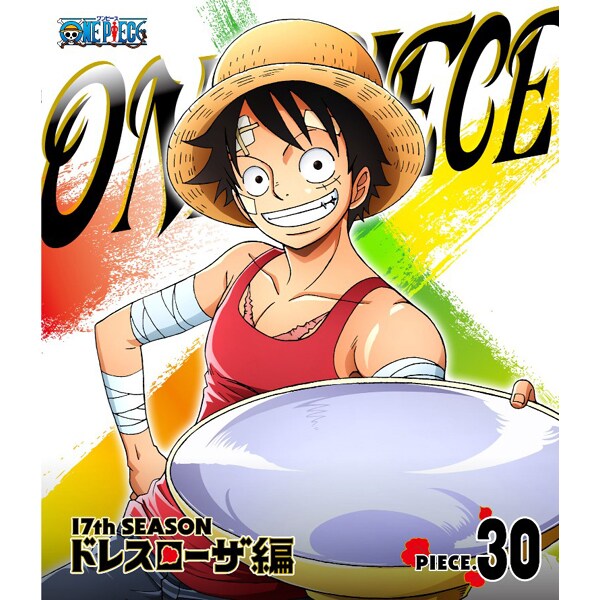 出荷 One Piece ワンピース ドレスローザ編 17thシーズン Piece 30