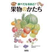 調べてなるほど!果物のかたち(絵で見るシルーズ) [単行本]