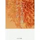 いのちの生成とケアリング―ケアのケアを考える [単行本]