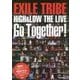 EXILE TRIBE Go Together!―HiGH & LOW THE LIVE Photo report [単行本]