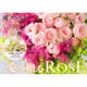 鏡リュウジ愛を贈るROSEカレンダー 2017 [カレンダー]