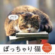 ぽっちゃり猫CALENDAR 2017 [カレンダー]