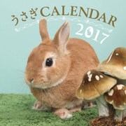うさぎCALENDAR 2017 [カレンダー]