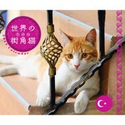 世界の街角猫トルコCALENDAR 2017 [カレンダー]