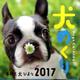 犬めくり 2017 [カレンダー]