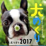 犬めくり 2017 [カレンダー]