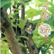 子ねこカレンダー 2017 [カレンダー]