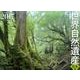 世界自然遺産日本編カレンダー 2017 [単行本]